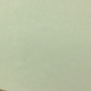 Meet your Posher, Jaylene